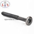 Flat Head Hexagonal Socket Bolt with Point